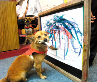 原本是流浪狗的“有錢”做畫時神情可愛。圖片來源：臺灣《聯合報》