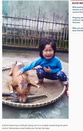 越南女童愛犬走失，幾日後在狗肉攤看到，一眼認出痛喊“那是花花”