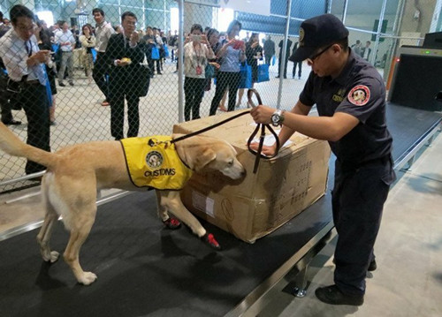 臺當局保障工作犬工時公務員嘆“人不如狗”