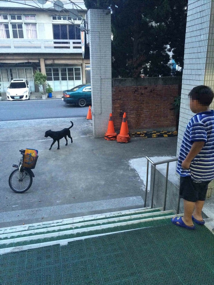 臺灣男童放學路遇大黑狗追擊，嚇到躲進派出所。（《聯合報》圖）
