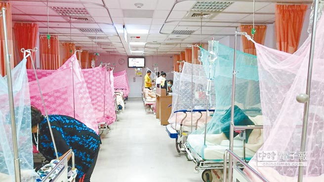 臺南登革熱日增100多病例 一天確診5嬰兒人心惶惶