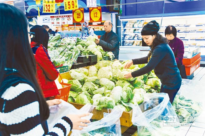 寒流過後臺灣菜價飆漲 卷心菜百元一顆(圖)