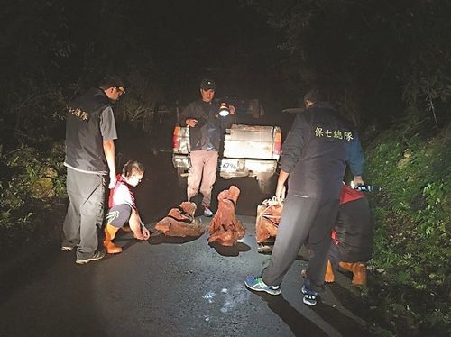 臺灣兩男子深夜上山盜伐百公斤紅檜樹瘤被逮捕