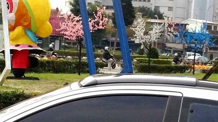 臺北公園塑膠櫻花以假亂真 民眾怨嘆被唬弄(圖)