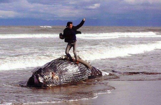 腳踩鯨魚屍體擺勝利手勢 北海道攝影冠軍作品引熱議