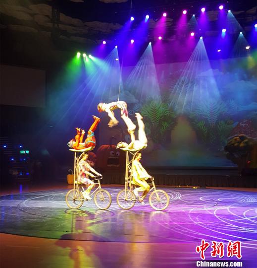 河北雜技音樂兒童劇《蔬菜總動員》在臺灣佛光山歡樂上演