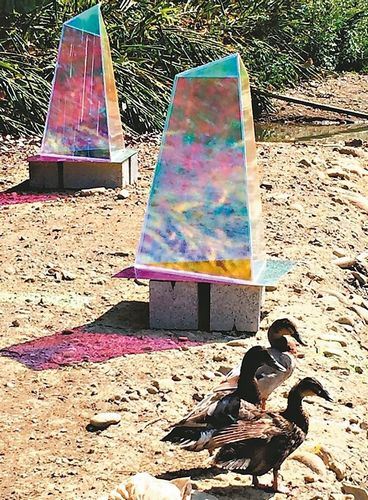 新竹公園麗池畔的“光譜原色時代”作品，讓鴨族們樂於在波光中休憩。臺灣《聯合報》記者李青霖／攝影