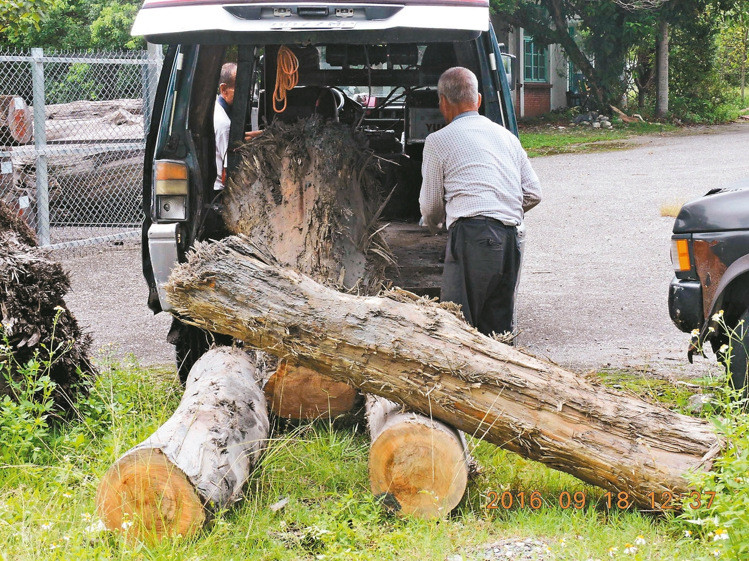 颱風過後亂撿漂流木或被判七年並處罰金300萬新台幣