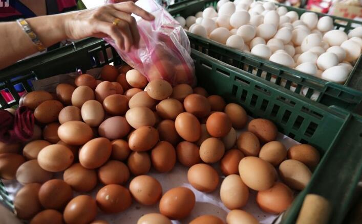 臺灣雞蛋驗出殺蟲劑芬普尼 連成牧場超標30倍