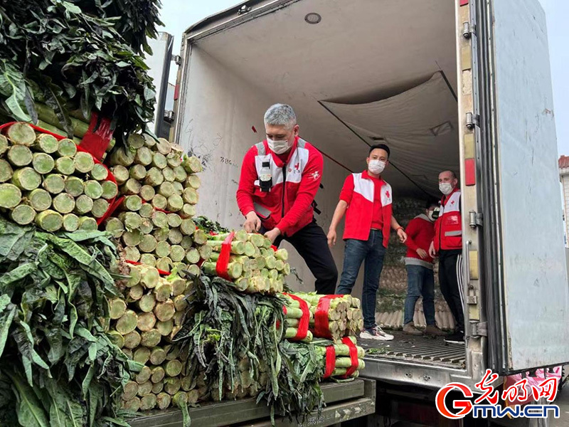 一起守“滬”|再出發！又一批愛心蔬菜馳援上海