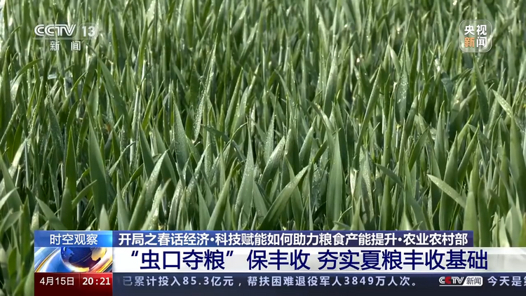 開局之春話經濟丨科技賦能、金融支援如何助力糧食産能提升？