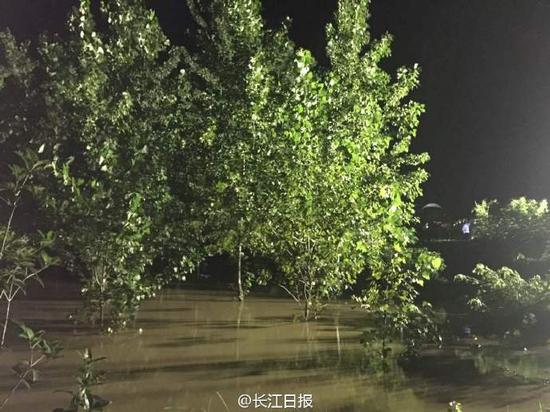 武漢新洲堤壩決口 1800人疏散暫無傷亡報告