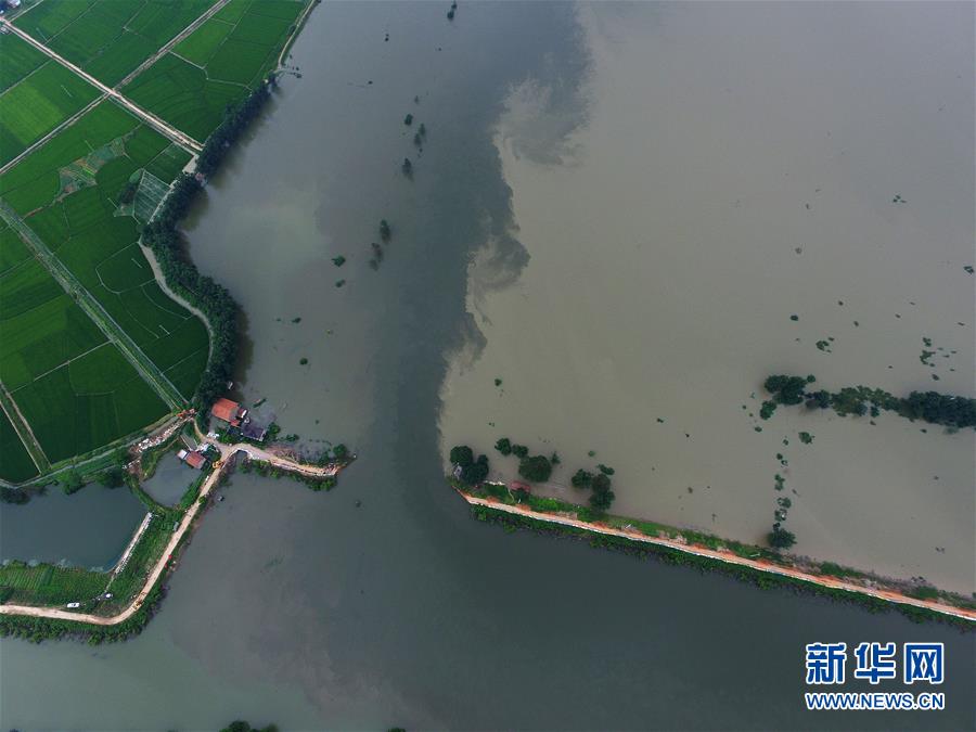 湖北黃梅縣考田河堤出現潰口 數千人緊急轉移