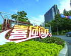 谫y