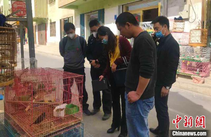 阿克蘇地區查獲3起涉嫌違法經營野生動物案。　潘志安 攝