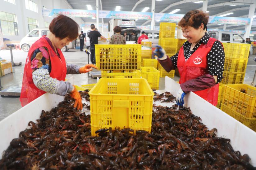 中國小龍蝦交易中心內正在分揀小龍蝦的工作人員