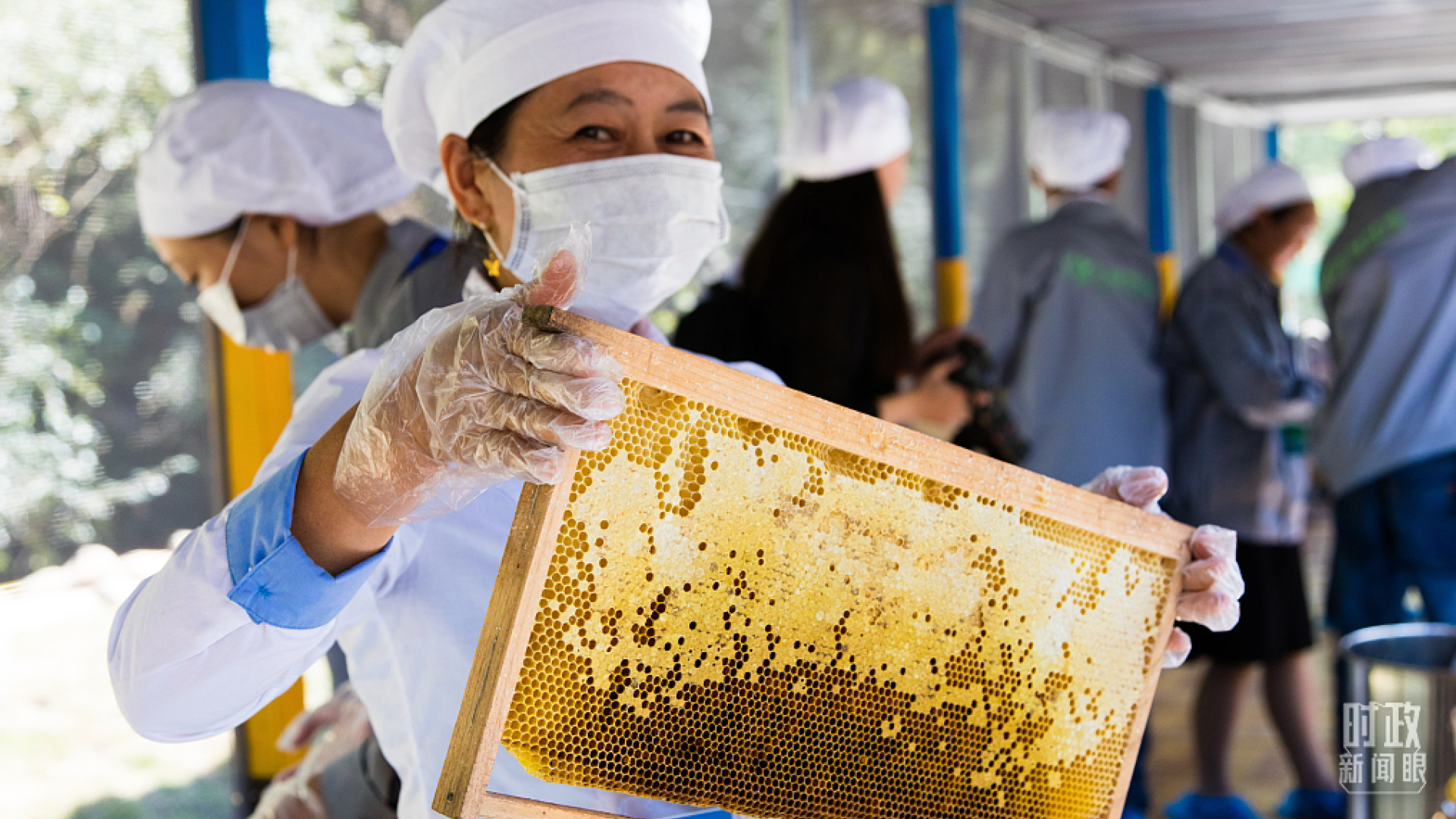 湖北宜昌，蜂蜜是當地的富民産業之一。（圖/視覺中國）
