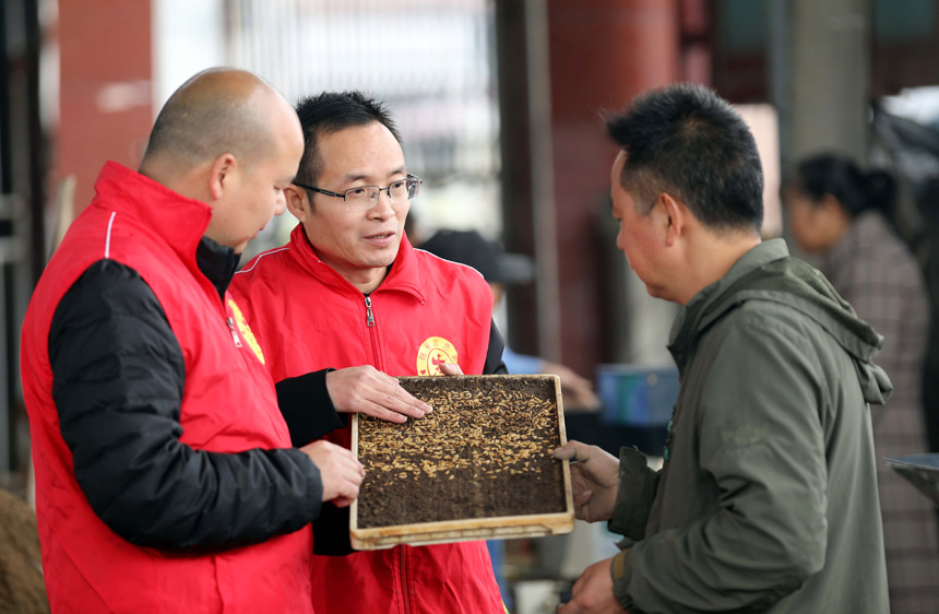 3月24日，在廣西柳州市融安縣浮石鎮水稻育苗基地，技術人員正在指導村民科學育苗。