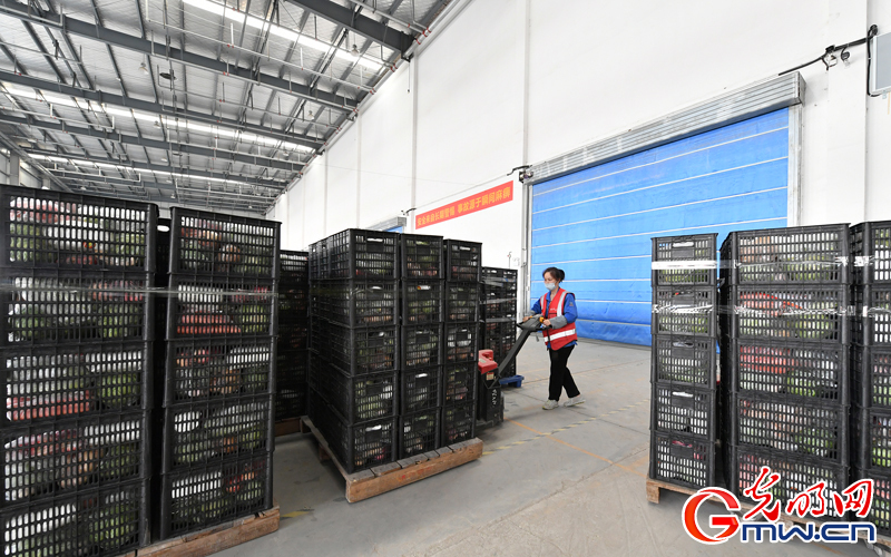 “守滬者聯盟”丨第二批啟程！安徽合肥：1萬份蔬果包馳援上海