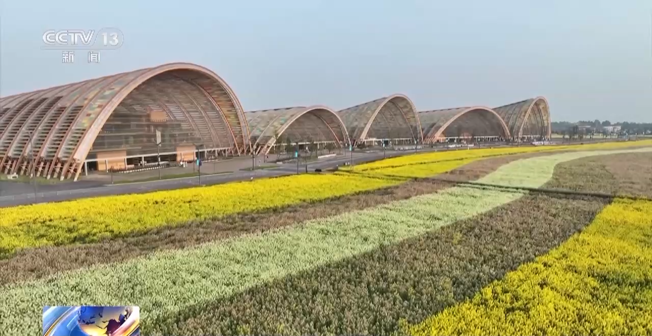 一線調研丨四川：小油菜串起大産業
