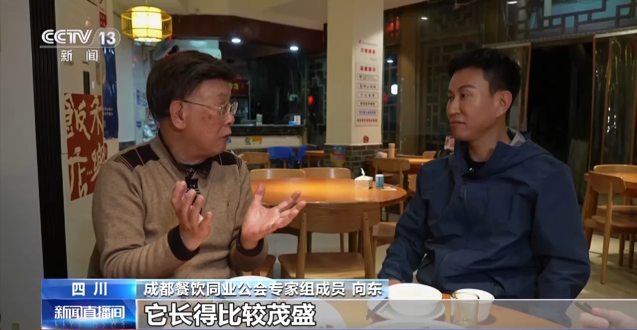 一線調研丨四川：小油菜串起大産業