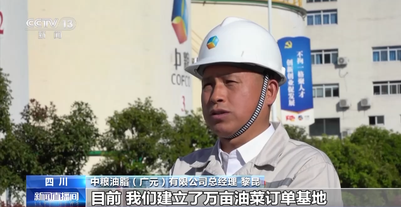 一線調研丨四川：小油菜串起大産業