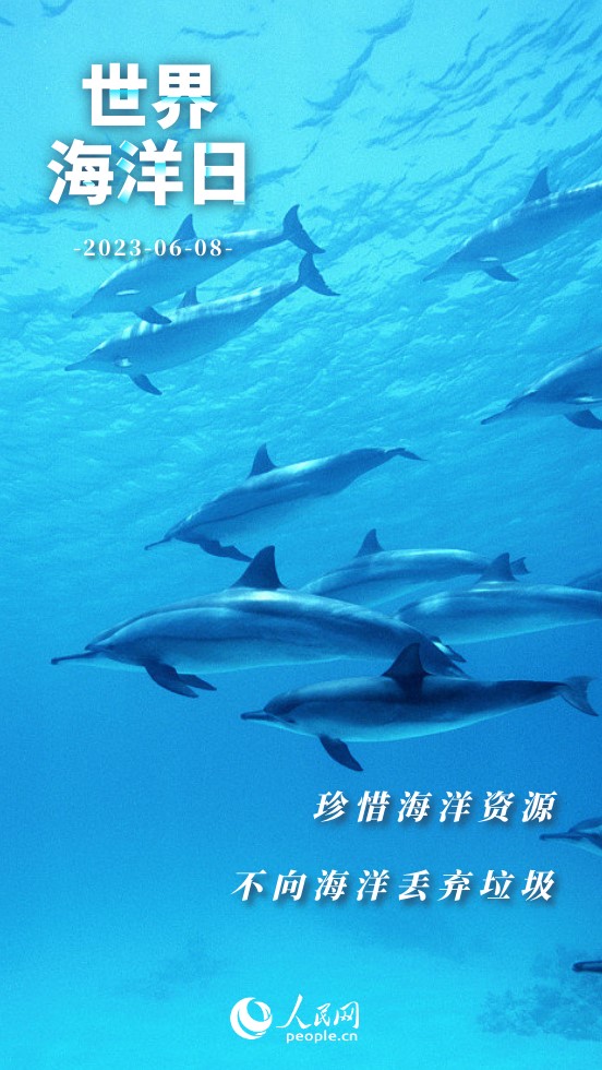 世界海洋日 | 保護海洋 我們能做些什麼？