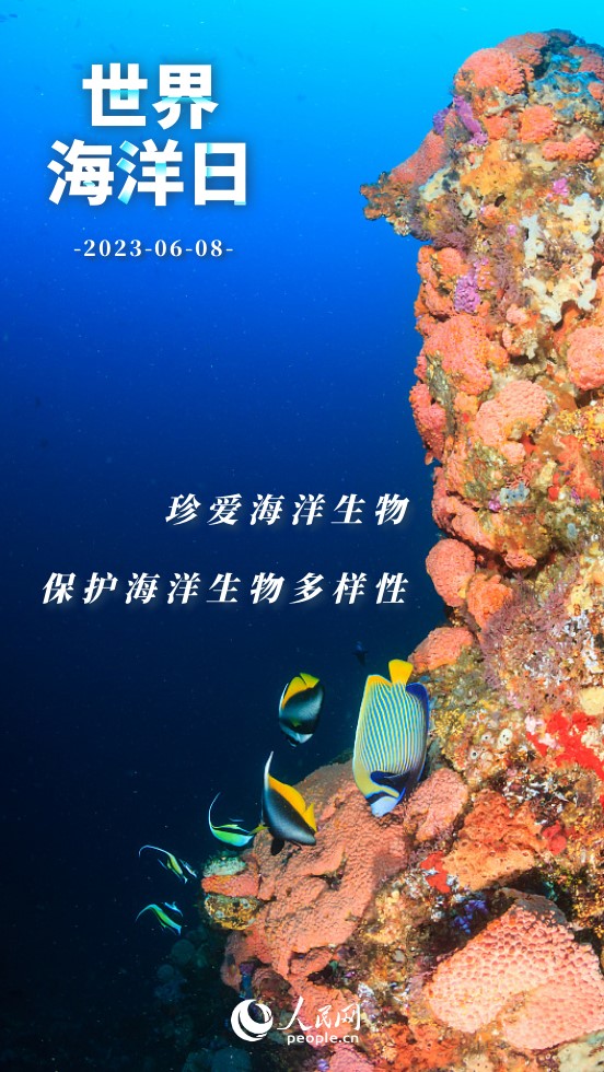 世界海洋日 | 保護海洋 我們能做些什麼？