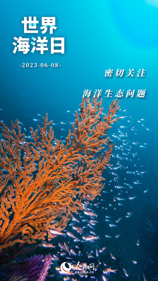 世界海洋日 | 保護海洋 我們能做些什麼？