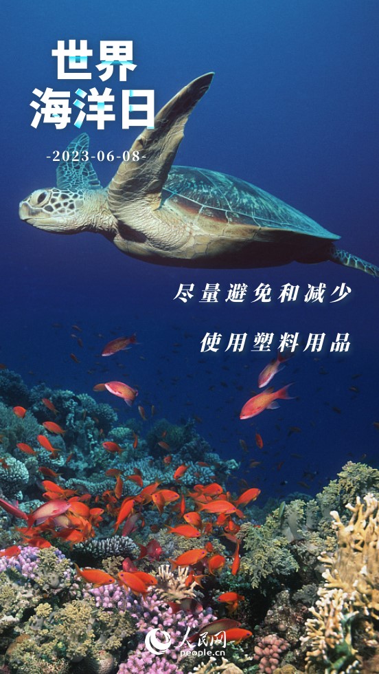 世界海洋日 | 保護海洋 我們能做些什麼？