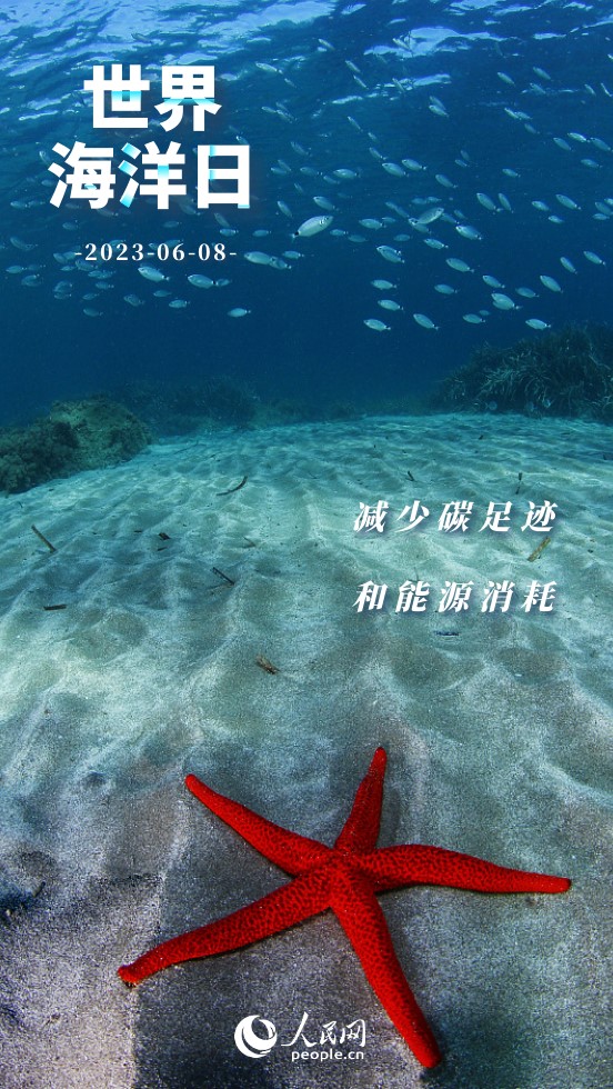 世界海洋日 | 保護海洋 我們能做些什麼？