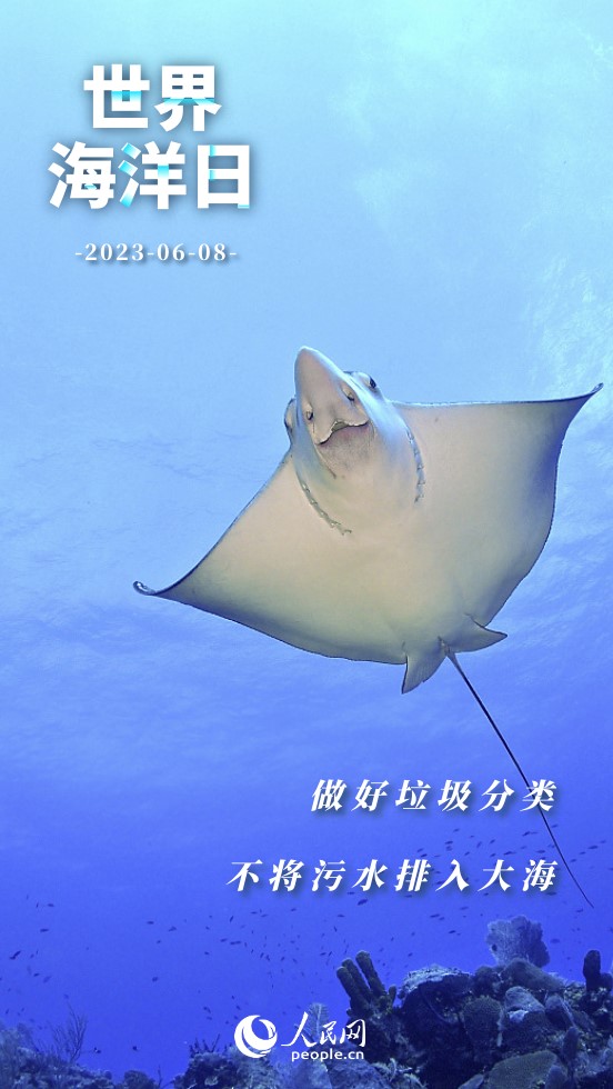 世界海洋日 | 保護海洋 我們能做些什麼？