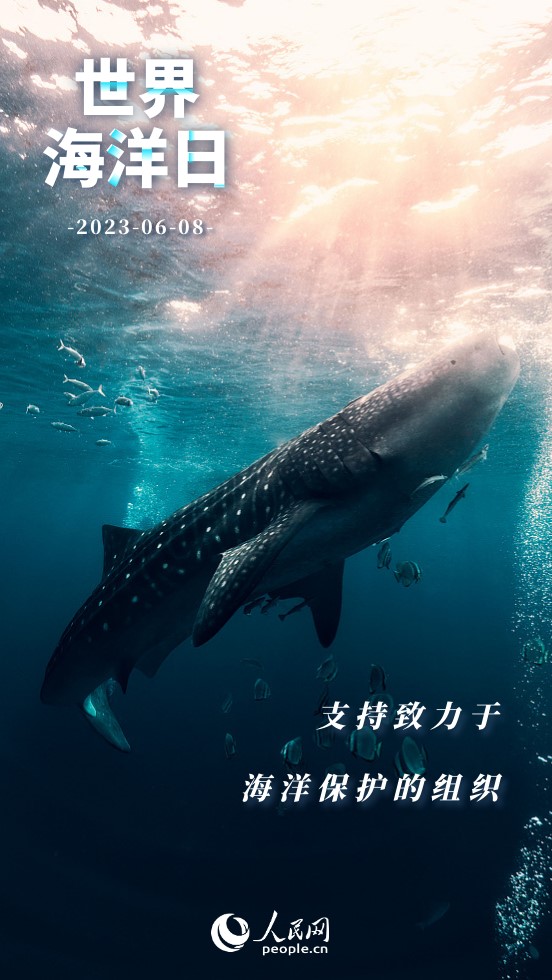 世界海洋日 | 保護海洋 我們能做些什麼？