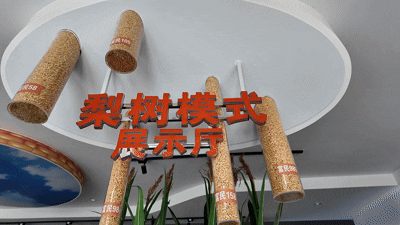 圖為“梨樹模式”展示廳內展示的玉米種子。門傑偉攝