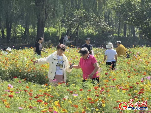 何以中國·理想都城|數字化技術再現圓明園昔日輝煌盛景