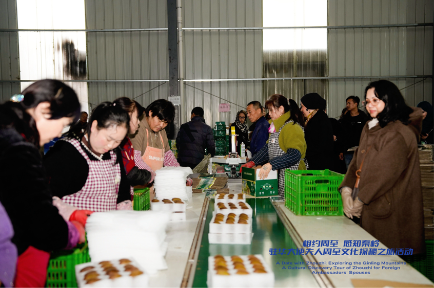 從秦嶺沃土到“絲路甜果” 駐華大使夫人見證中國鄉村產業振興之路_fororder_圖片39