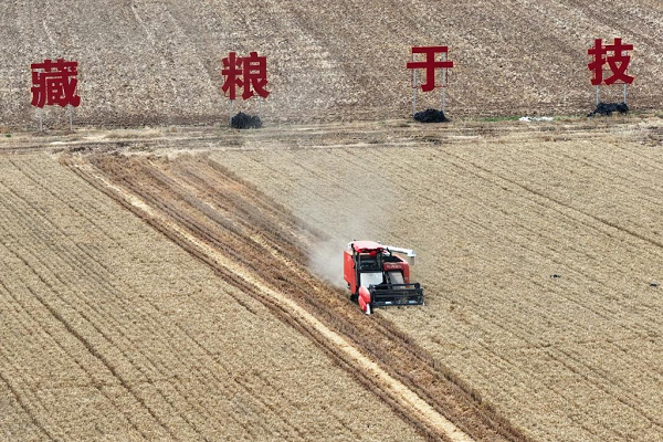 【高質量發展看陜西】鄉村振興,這邊“豐”景獨好