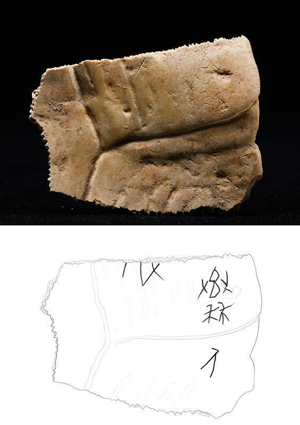 iqoiEj媫جOAD򥿫CK