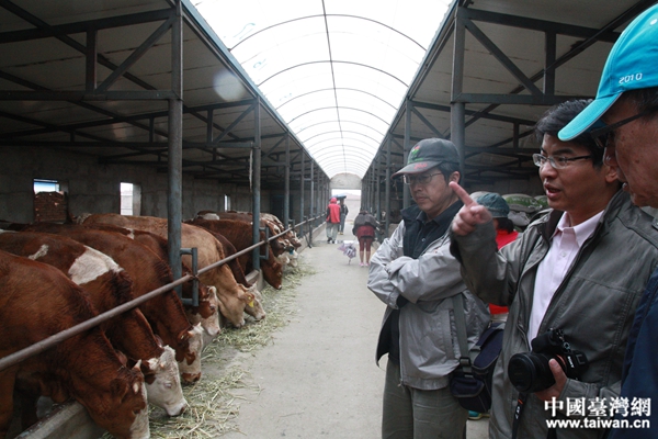臺南市兩岸公共事務交流協會專家學者參觀沙河鎮養牛場。