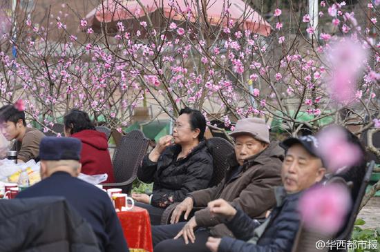 “花”下的遊客打擁堂。