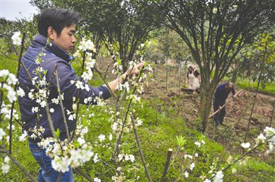 兒子攜妻女回鄉當新型農民 父親威逼斷絕關係