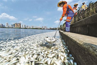 5月4日上午，海南海口市瓊山區紅城湖湖面上出現大量死魚，截至當日下午4點，當地已打撈出死魚約35噸。據官方通報，死亡的魚為海水魚，因進入紅城湖時鹽度突然降低，導致大量死亡。