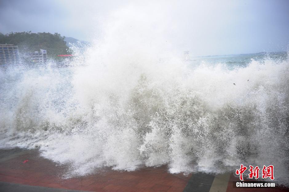 颱風“妮妲”襲擊深圳 海邊掀數米巨浪[組圖]