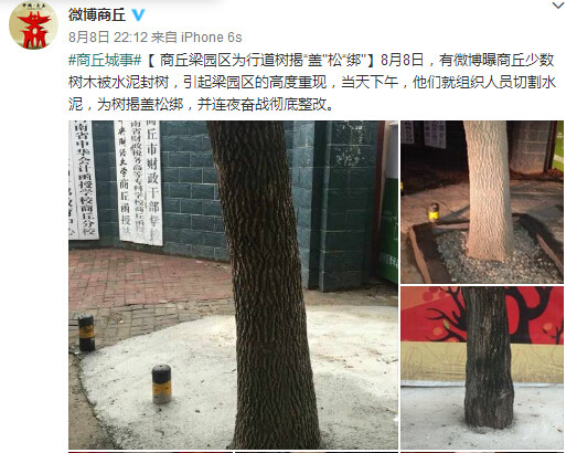 河南商丘“水泥封樹”整改恢復4名官員被追責受處