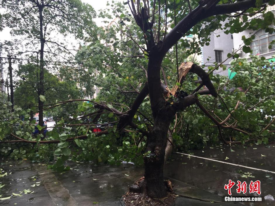 颱風“電母”攜暴雨襲擊中越邊境