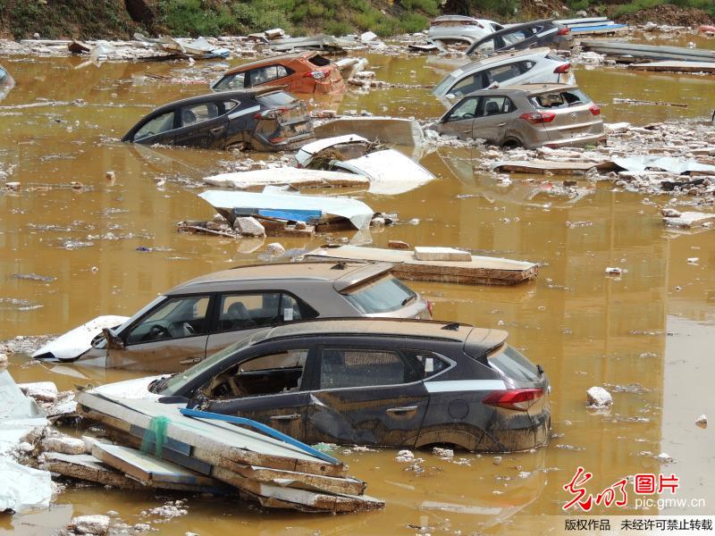 西寧降雨致停車場百台新車被淹 場面似災難大片