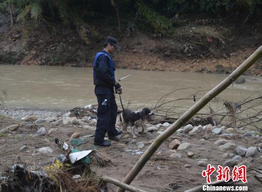 圖為公安警犬搜救隊在河邊搜尋小媛。 文成警方供圖攝