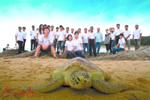 海龜保護隊。