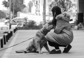  2月12日，長沙豐升德潤小區，朱女士因為寵物狗的醫療費賠償問題與肇事者産生糾紛。圖/記者楊旭