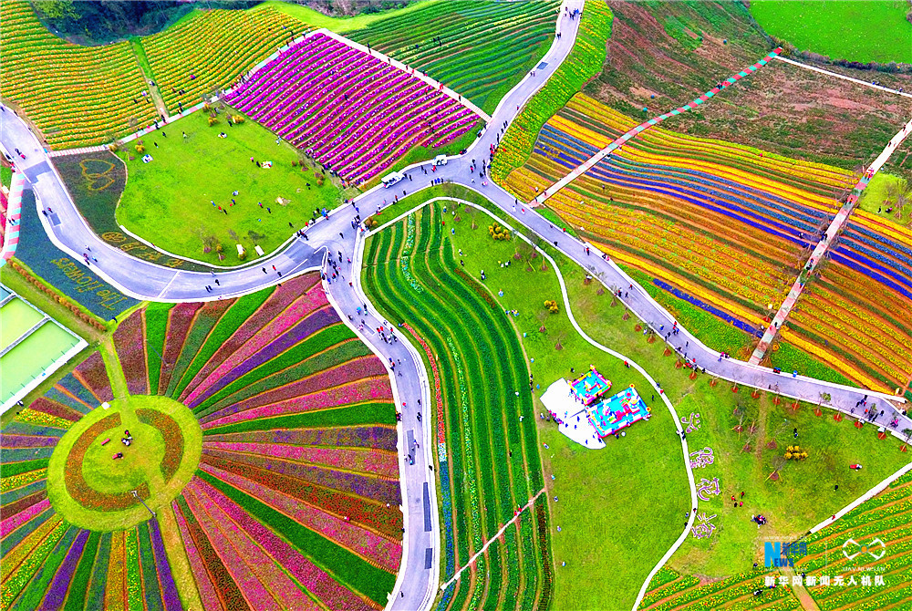 色彩缤纷 航拍重庆七彩花海(组图)